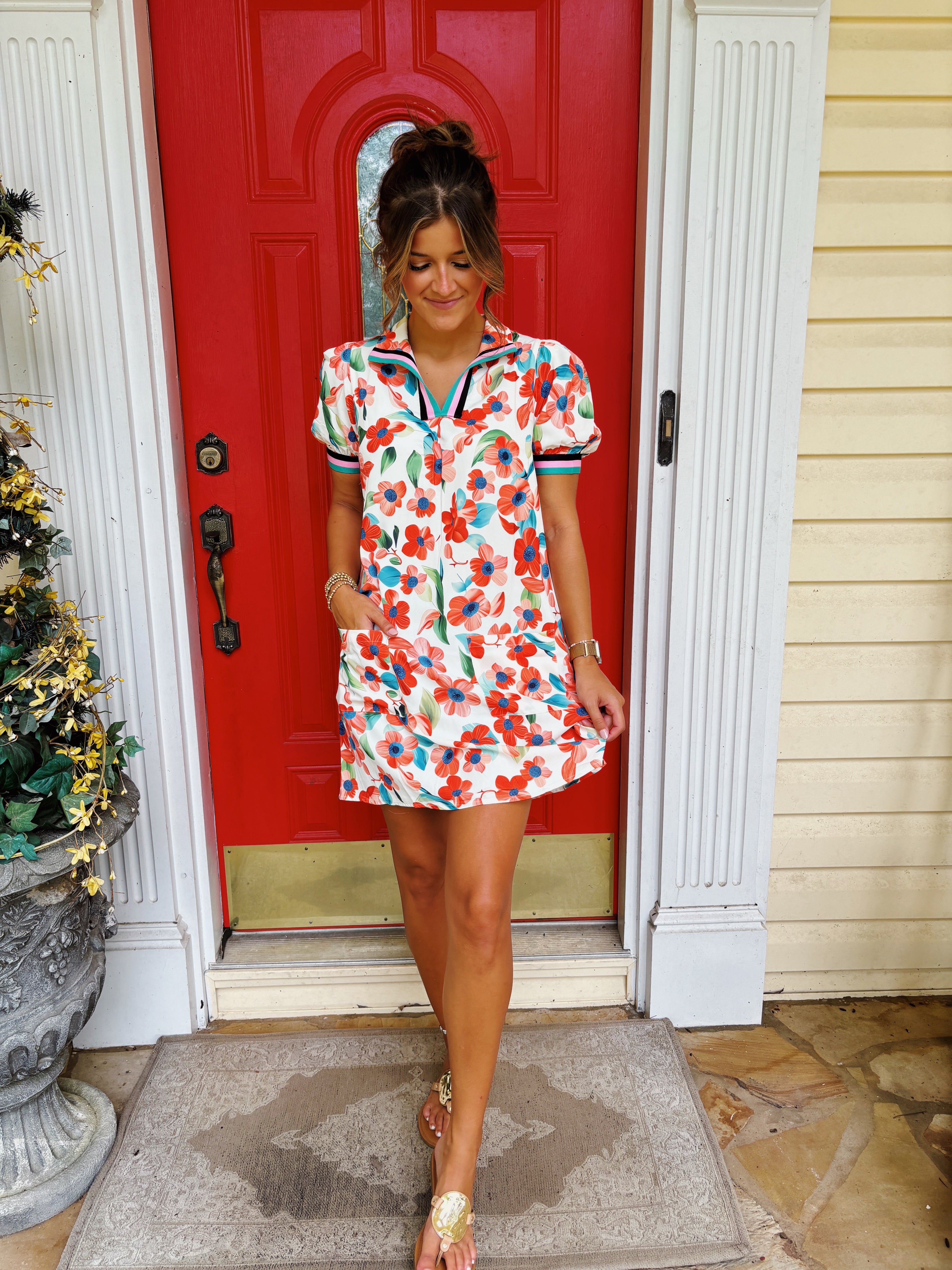 PICTURE PERFECT DRESS