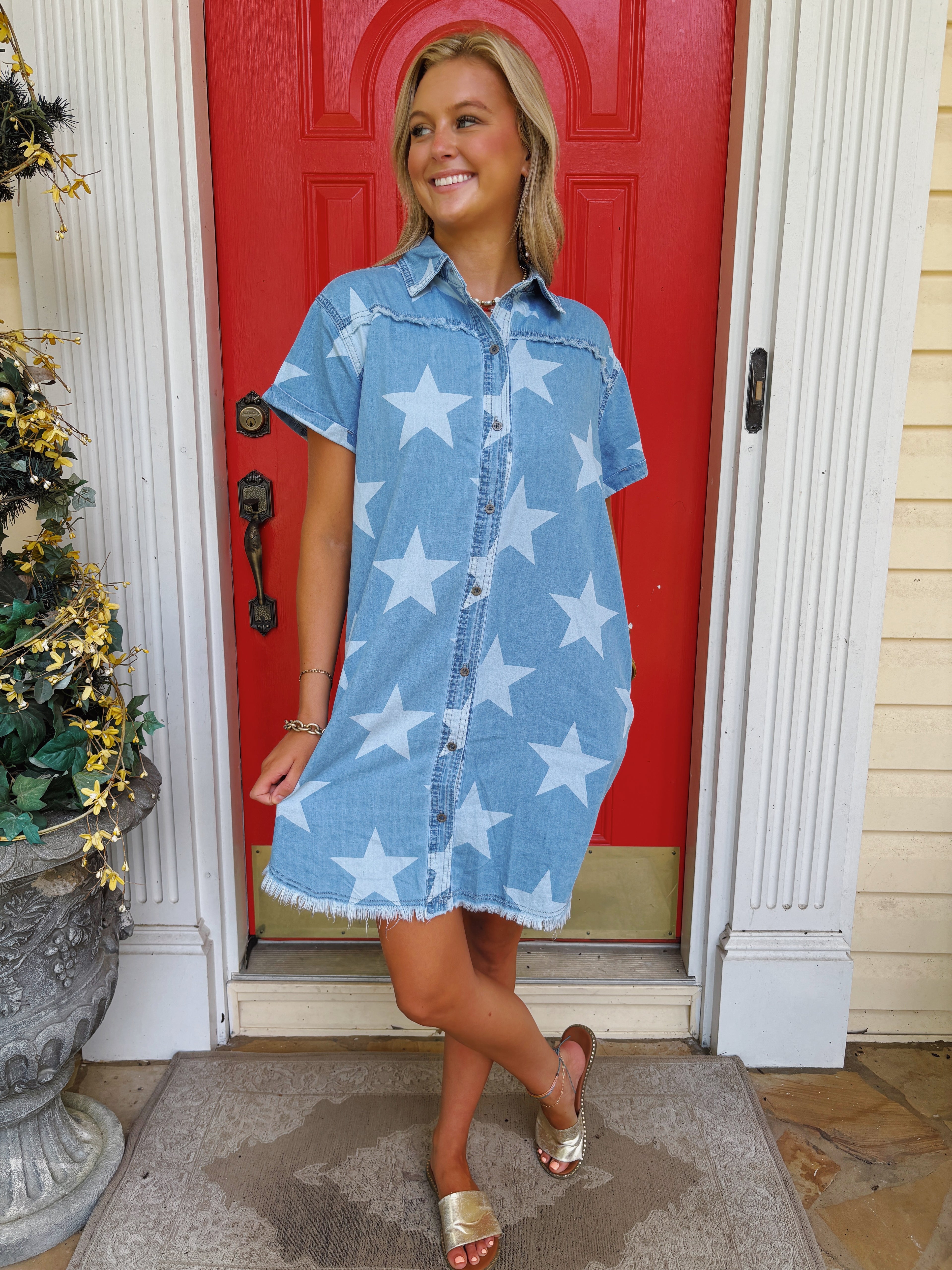 STAR SPANGLED DENIM DRESS