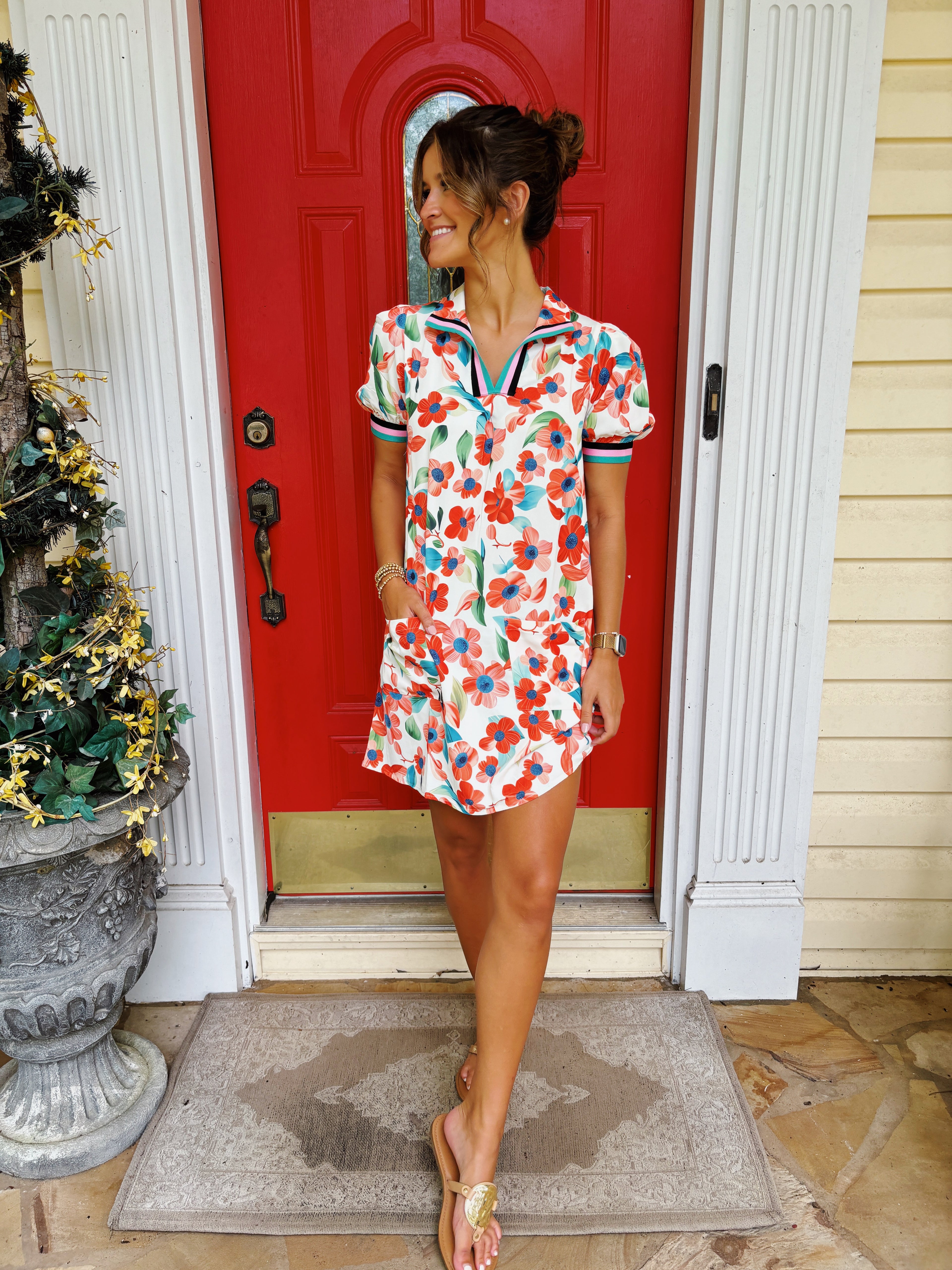 PICTURE PERFECT DRESS